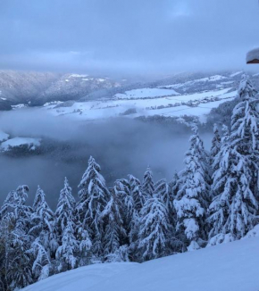 Forchnerhof Panorama- Rienzschlucht